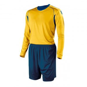 TSR-SWSU11