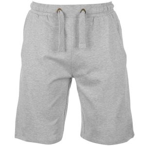 TSR-SWGS4
